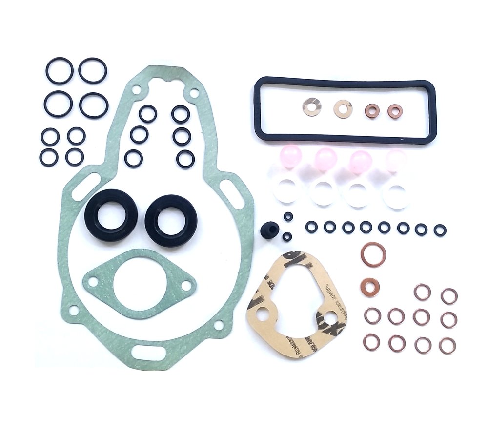 Complete overhaul kit for Simms Minimec 4 cylinder diesel injection