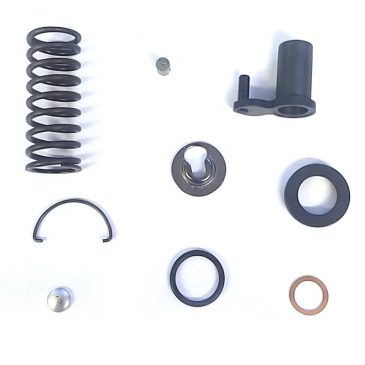 Overhaul repair kit for Bosch single cylinder PFE1Q injection pumps ...